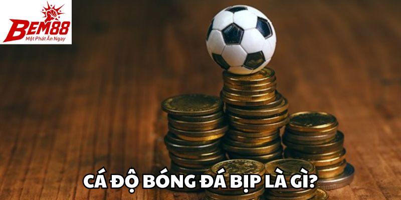 Cá độ bóng đá bịp là gì