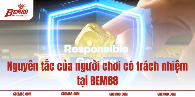 Nguyên tắc của người chơi có trách nhiệm tại BEM88